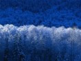 /album/photogallery/winter-jpg/